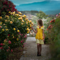 Load image into Gallery viewer, EVERYDAY ENCHANTMENT DRESS