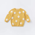 Load image into Gallery viewer, Daisie Dreams Sweater
